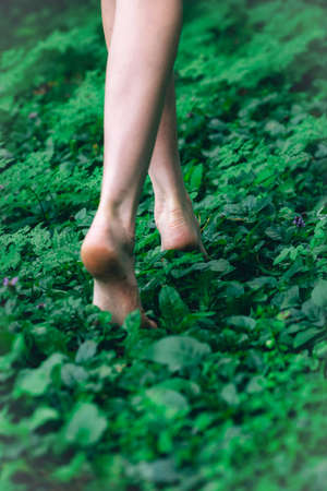 Blonde girl in a light airy dress, barefoot at dawn in a summer forest. high quality photoの写真素材