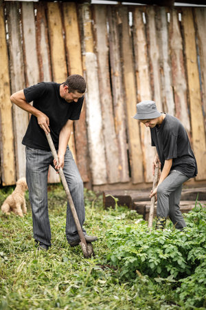 local agriculture, farmers day 12 october. a man in a black t-shirt with a pitchfork, natural products with his own hands.の写真素材