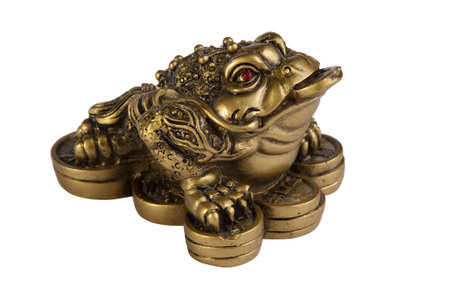 Golden frog holding a coin in the mouth on a white backgroundの写真素材