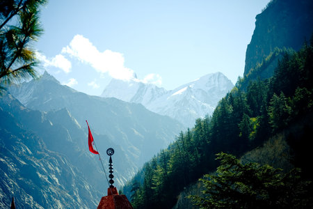 Forest in mountains valley Himalayas