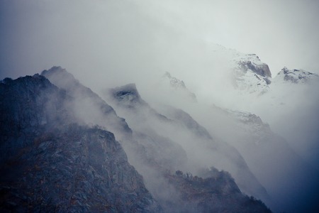 Mist in Forest in mountains valley Himalayasの写真素材