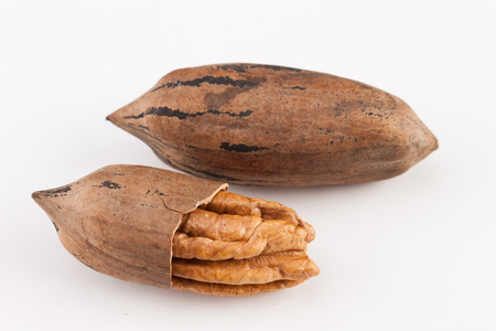 whole pecan nuts isolated on white backgroundの写真素材