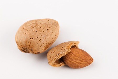 Almonds with kernels. Use it for a health concept.の写真素材