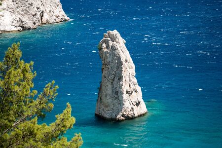 Pine tree with blue sea background Turkeyの写真素材