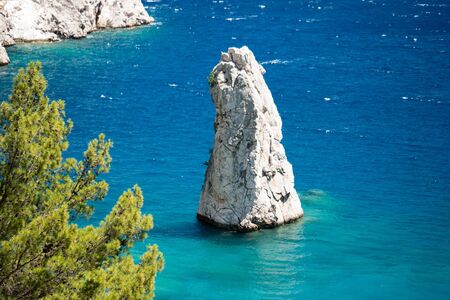 Pine tree with blue sea background Turkeyの写真素材