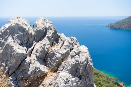 Pine tree with blue sea laguna background Turkeyの写真素材