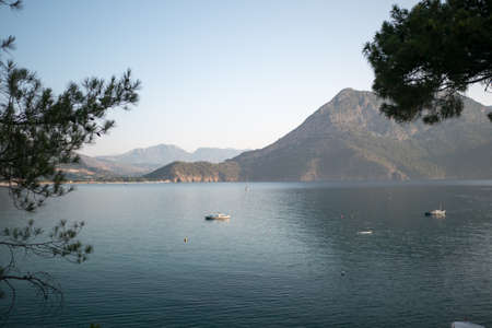 Pine tree with blue sea laguna background Turkeyの写真素材