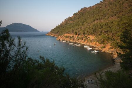 Pine tree with blue sea laguna background Turkeyの写真素材