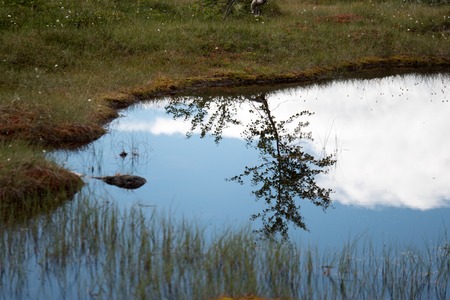 in Norway clear water with reflection summer timeの写真素材