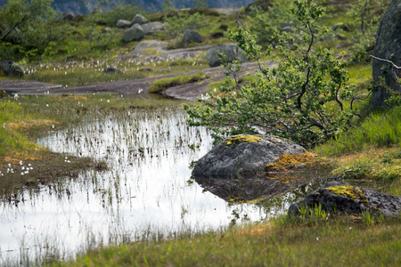 in Norway clear water with reflection summer timeの写真素材