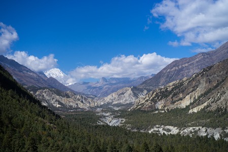 Peak and Forest in the Himalaya mountains, Annapurna region, Nepalの写真素材