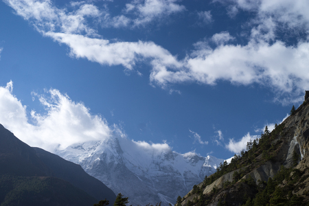 Trees and snowcapped peak at background in the Himalaya mountains, Nepalの写真素材
