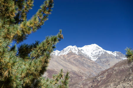 Pisang Peak and Forest in the Himalaya mountains, Annapuna region, Nepalの写真素材