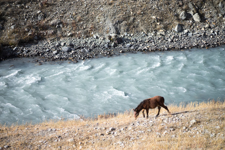 Blue river in Himalayas mountains Annapurna region, Nepalの写真素材