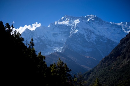Annapurna mountain and Forest in the Himalaya mountains, Annapurna region, Nepalの写真素材
