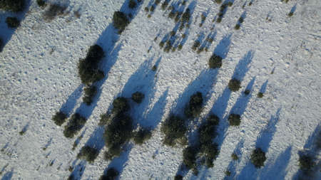 Aerial view of winter frozen forest covered in snowの写真素材