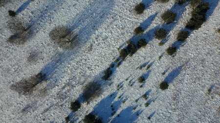Aerial view of winter frozen forest covered in snowの写真素材
