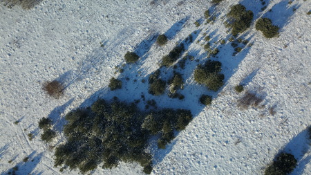 Aerial view of winter frozen forest covered in snowの写真素材