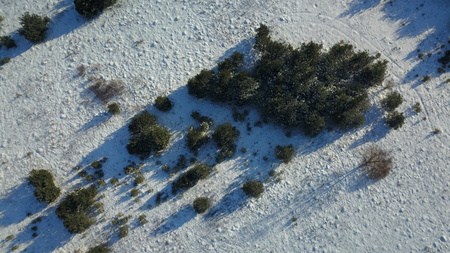 Aerial view of winter frozen forest covered in snowの写真素材