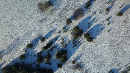 Aerial view of winter frozen forest covered in snowの写真素材