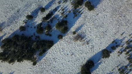 Aerial view of winter frozen forest covered in snowの写真素材