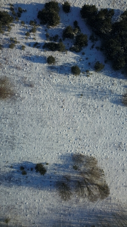Aerial view of winter frozen forest covered in snowの写真素材