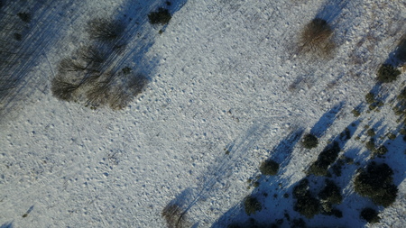 Aerial view of winter frozen forest covered in snowの写真素材