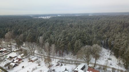 Aerial view of winter frozen forest covered in snowの写真素材