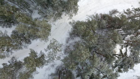 Aerial view of winter frozen forest covered in snowの写真素材