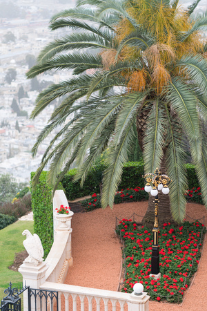 Shrine of the Bab and terraces at the Bahai World Center in Haifa, Israelの写真素材