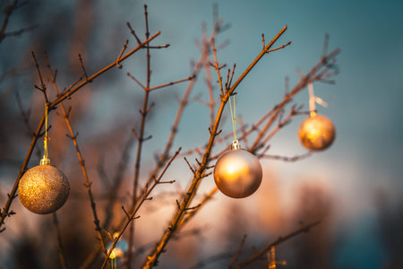 Christmas golden ball and tree branch. Christmas decorations.