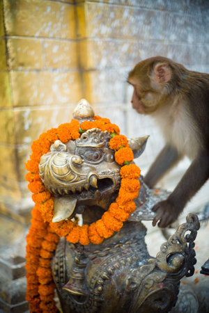Swayambhunath stupa Eye Buddha in Kathmandu Nepal