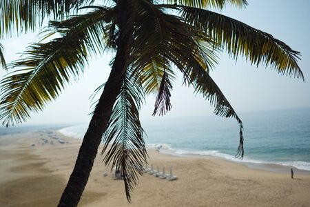 Palm and Ocean coast with big waves in Indiaの写真素材