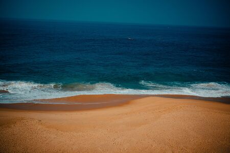Palm and Ocean coast with big waves in Indiaの写真素材