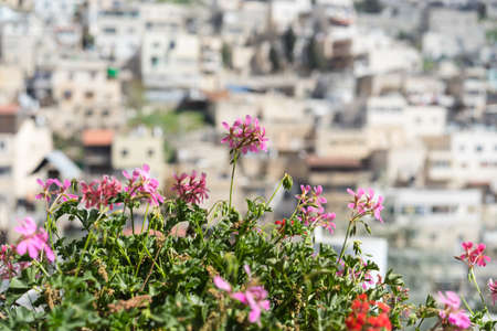 Ancient Historical places of Israelの写真素材