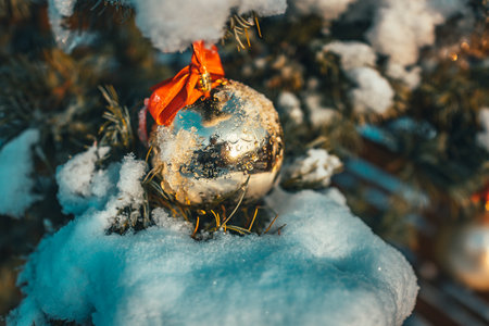 Christmas golden ball and tree branch with snow. Christmas decorations.の写真素材