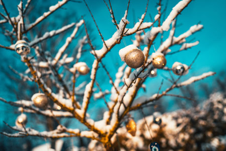 Christmas golden ball and tree branch. Christmas decorations.