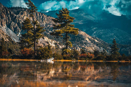 Trees and snowcapped peak at background in the Himalaya mountains, Nepalの写真素材