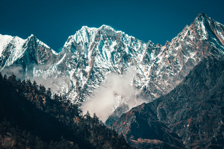 Trees and snowcapped peak at background in the Himalaya mountains, Nepalの写真素材
