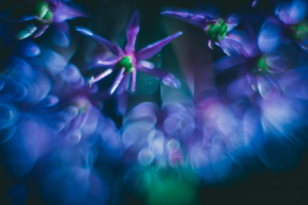 Flower Blossoms spring time green sun lightの写真素材