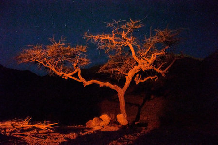 Night photo in desert Dahab , South Sinai , Egyptの写真素材