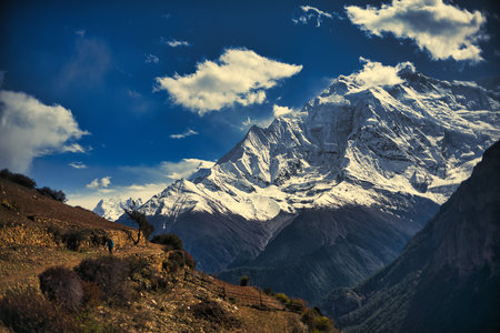 Annapurna snowcapped peak in the Himalaya mountains, Nepalの写真素材