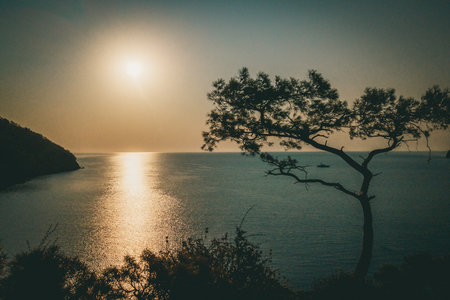 Sunrise above sea and pine tree with blue sea background Turkeyの写真素材