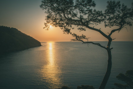 Sunrise above sea and pine tree with blue sea background Turkeyの写真素材