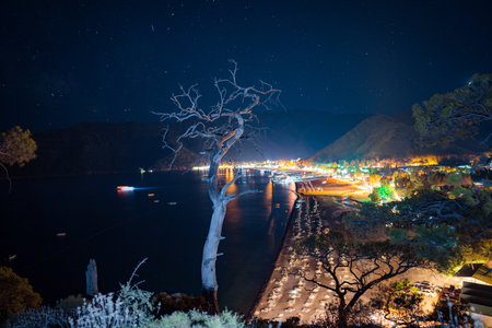 Night sky above sea and pine tree with blue sea background Turkeyの写真素材