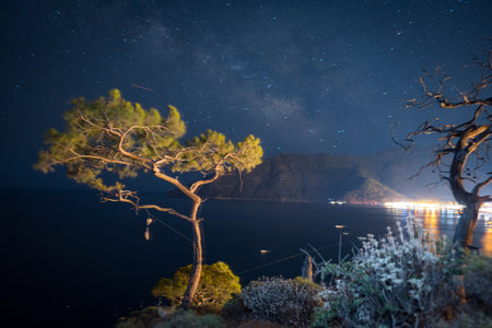 Night sky above sea and pine tree with blue sea background Turkeyの写真素材