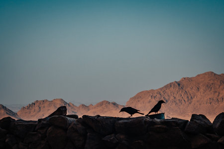 Panorama of Mount Sinai in Egypt. Dawn of the holy summitの写真素材