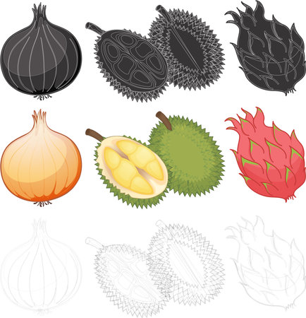 Fruits and Vegetablesのイラスト素材