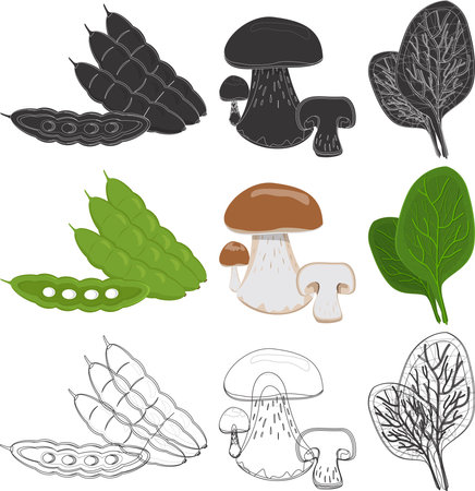 Fruits and Vegetablesのイラスト素材