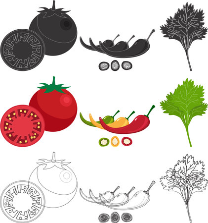 Fruits and Vegetablesのイラスト素材